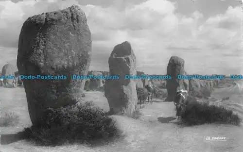 R159442 Carnac. Die Menhire. Der Storch. 1954