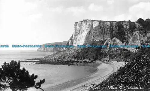 R159090 weiße Klippe. Sitzplatz. Wessex. E.G. Schloss