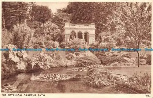 R159161 Der Botanische Garten. Bad. Sweetman. Solograph. Nr. 8182. 1943