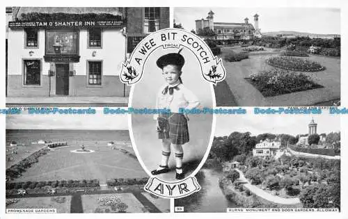 R159661 A Wee Bit Scotch Ayr. Multi View