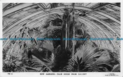 R159785 Kew Gardens Palmenhaus aus Galerie. Gale und Polden