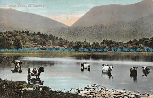 R160696 Mittlerer See. Killarney. Valentinstag. 1905