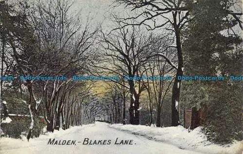 R159959 Madlen. Blakes Lane. Hutchinson. 1907