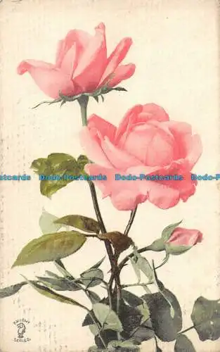 R161088 alte Postkarte. Rosa Rosen. Ritter