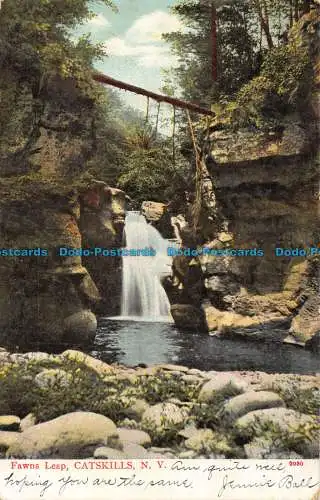 R161156 Rehe springen. Catskills. Nr. J. A.C. Bosselman. 1906