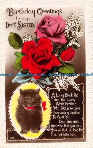 R161439 Geburtstagsgrüße an meine liebe Schwester. Kätzchen. Rosen. Art. RP