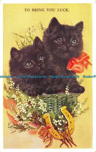 R161596 Um Ihnen Glück zu bringen. Kätzchen im Korb. Valentinstag. Lucky Black Cat. 1957