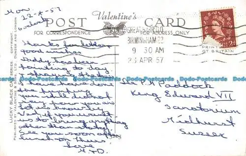 R161596 Um Ihnen Glück zu bringen. Kätzchen im Korb. Valentinstag. Lucky Black Cat. 1957