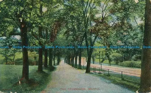 R161600 Die Promenade. Bristol. G.D. und D.L. 1906