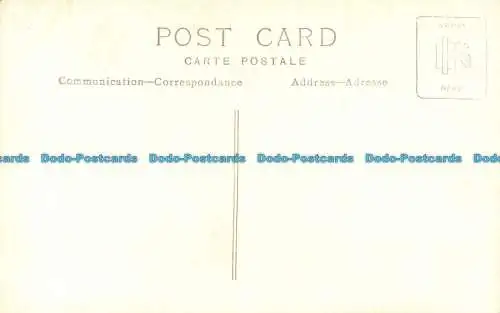 R162075 Alte Postkarte. Hund