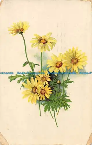 R162078 alte Postkarte. Gelbe Blumen. Tuck. 1961