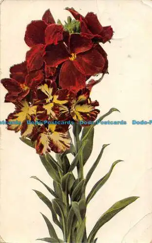 R162204 Alte Postkarte. Blumen. Wildt und Kray. 1908