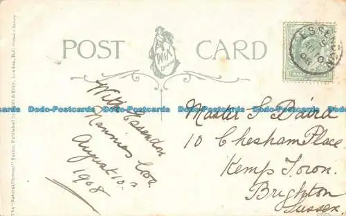 R162204 Alte Postkarte. Blumen. Wildt und Kray. 1908