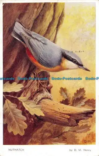 R162765 Nuthatch. D.M. Henry. Valentinstag. 1956