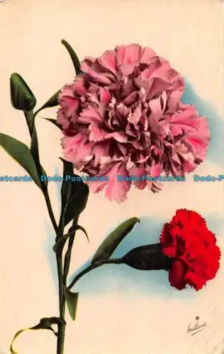 R162282 Alte Postkarte. Blumen. Cecami