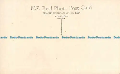 R162288 Waiora Valley Wairakei. F.G.R. Frank Duncan. RP