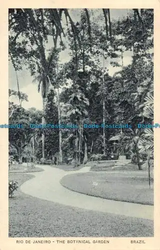 R163440 Rio de Janeiro. Der Botanische Garten. Brasilien