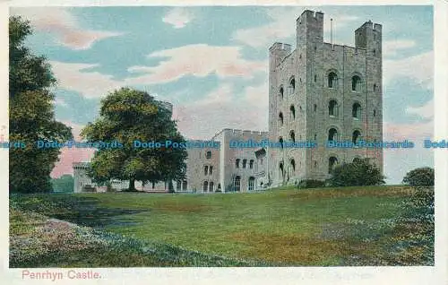 R163521 Penrhyn Castle. Pfau. Autochrom