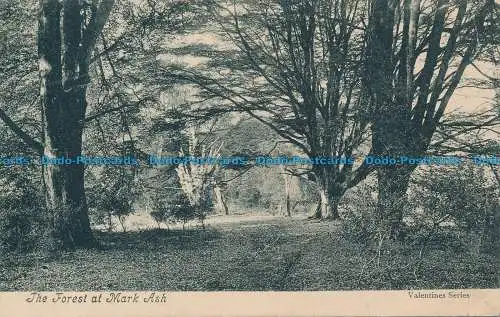 R162641 Der Wald bei Mark Ash. Valentinstag. F. Besenfeld. 1911