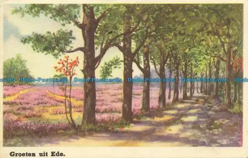 R648041 Groeten Uit Ede. D.R.C