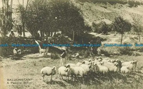 R648271 Belutschistan. Eine pastorale Szene. R.W. Rai