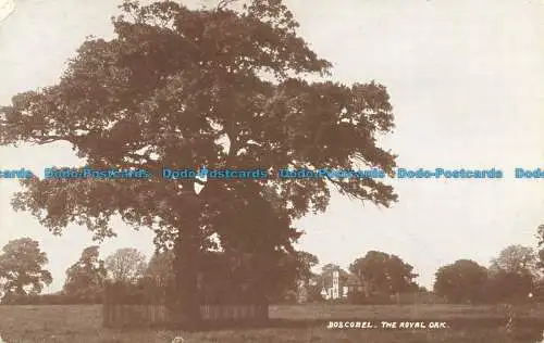 R649429 Boscobel. Die Royal Oak. Bennett Clark