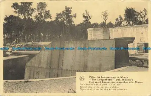 R648869 Die Leuchtenboompistole in Moere. Ern. Nels Thill. O.N.I.G