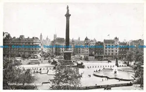 R648413 London. Trafalgar Square und Whitehall. Valentinstag. Silber