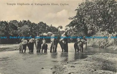 R648897 Ceylon. Tempelelefanten am Katugastota River. Teller. Nein. 138