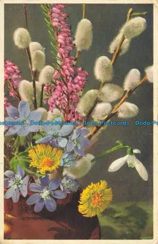 R649582 Frühlingsblumen. E. Gyger