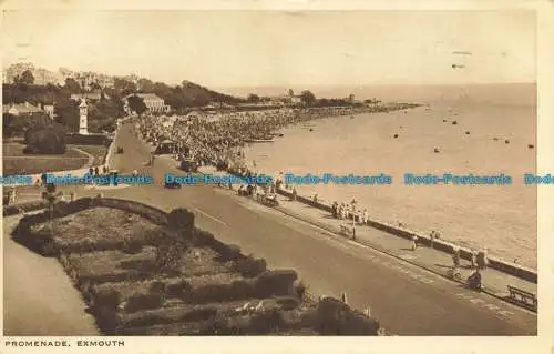 R648507 Exmouth. Spaziergang. 1938