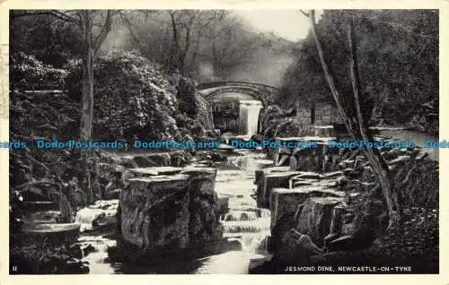 R649097 Newcastle auf Tyne. Jesmond Dene. 1957