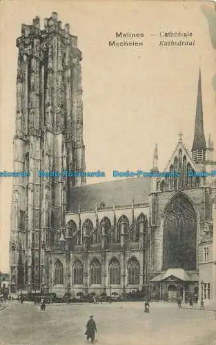 R649758 Mechelen. Kathedrale. Bob