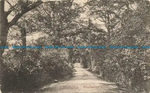 R649220 Midhurst. Wollfahrbahn. F. Frith. Nein. 42345. 1906