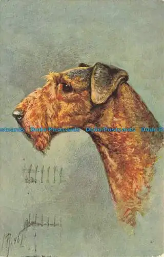 R650600 Airdale Terrier. Stehli. Nein. 100. 1959