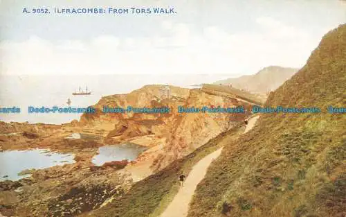 R651244 Ilfracombe. Von Tors Walk. Photochrom. Celesque Serie