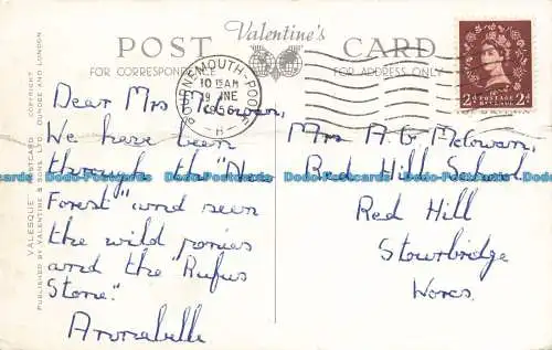 R649369 New Forest Ponys. Valentinstag. Valesque. 1956