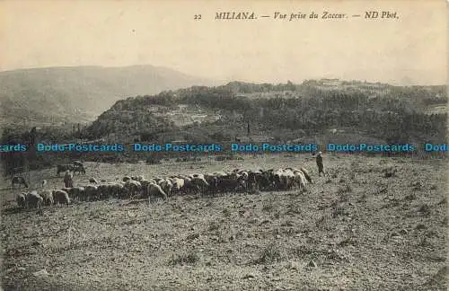 R651938 Miliana. Aufnahmeansicht des Zaccar. ND. Foto