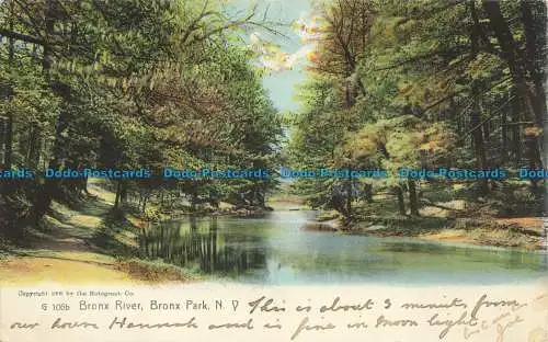 R652060 Bronx River. Bronx Park. N.V. Rotograph