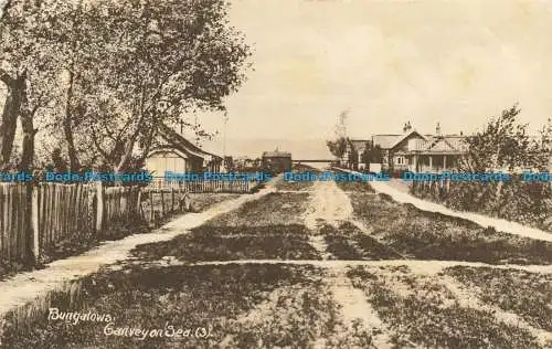 R651483 Canvey auf See. Bungalows. Walter Cox. 1920