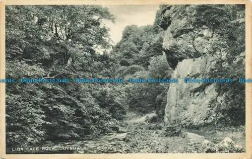 R652183 Dovedale. Lion Face Rock. Pelham