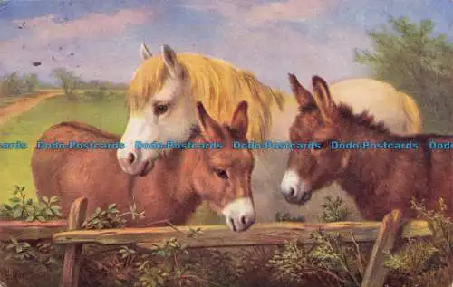 R652270 Die Ponys. J. Lachs. 1956