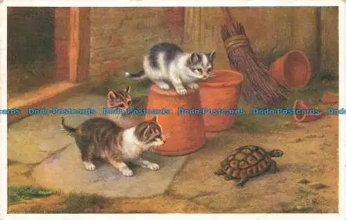 R652285 spielende Katzen. J. Lachs. 1954