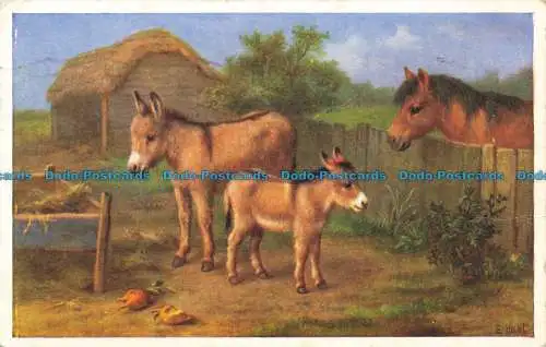 R652286 Ponys. J. Lachs. 1959