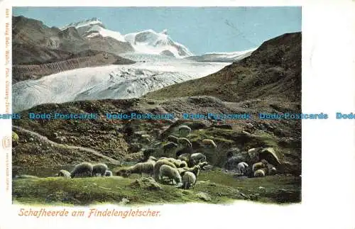 R652448 Schafheerde am Findelengletscher. Gebr. Wehrli. Louis Glaser