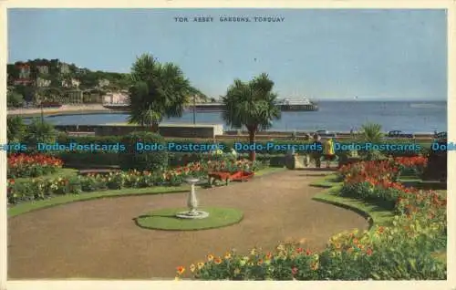 R652943 Torquay. Tor Abbey Gardens. F.E. Widlake. 1963