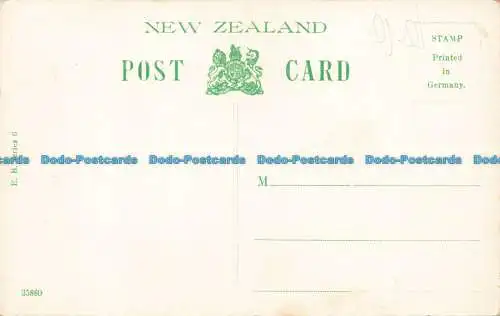 R652948 N.Z. Christchurch. Wainoni Park. Bush House. E.B. Serie 6