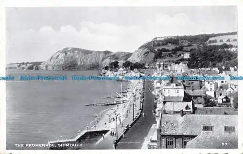 R652560 Sidmouth. Die Promenade. Postkarte. 1961