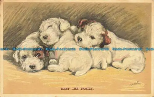 R652597 Treffen Sie die Familie. Valentinstag. Tailwagger. 1939