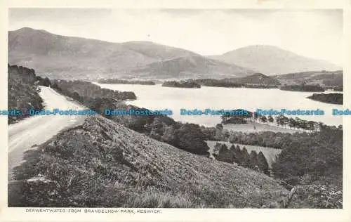 R653205 Keswick. Derwentwater aus Brandelhow Park. RP